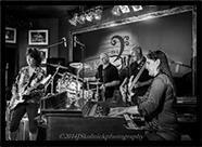 At the Funky Biscuit with the Marty Stokes Band, South Florida Blues Society Event.&nbsp;&nbsp;Photograph by J. Skolnick.